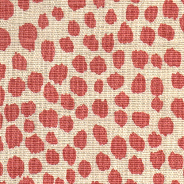  Michael Devine Dottie Coral