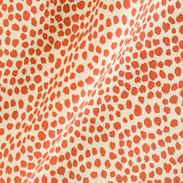 Michael Devine Dottie Coral