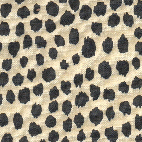 Michael Devine Dottie Graphite