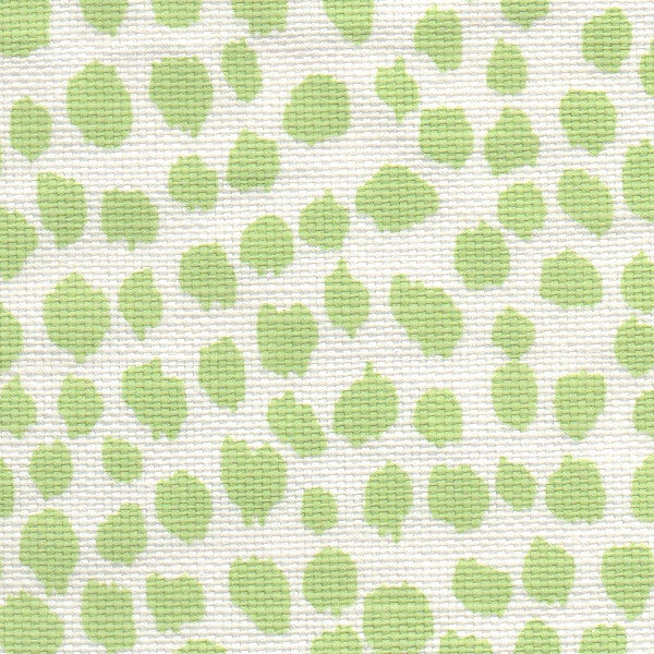 Michael Devine Dottie Lettuce