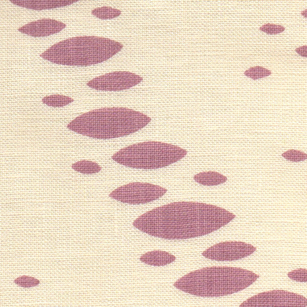 Michael Devine Chantal Orchid