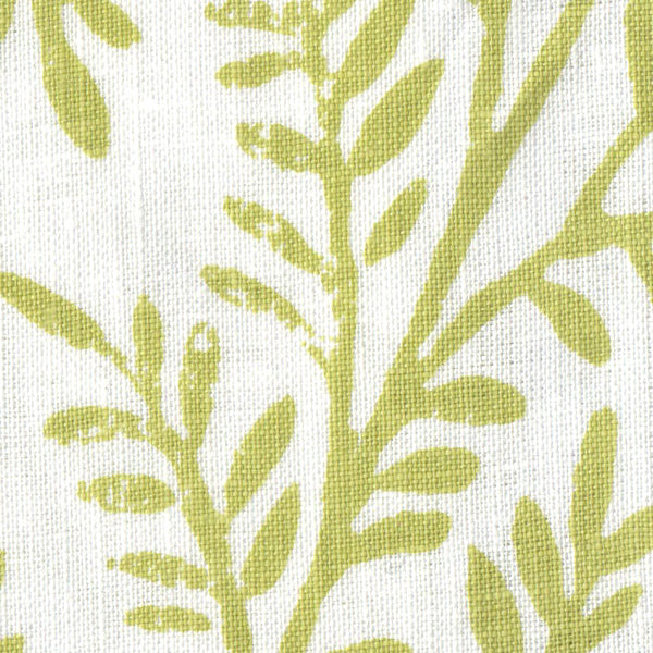 Michael Devine Victoria Absinthe on White