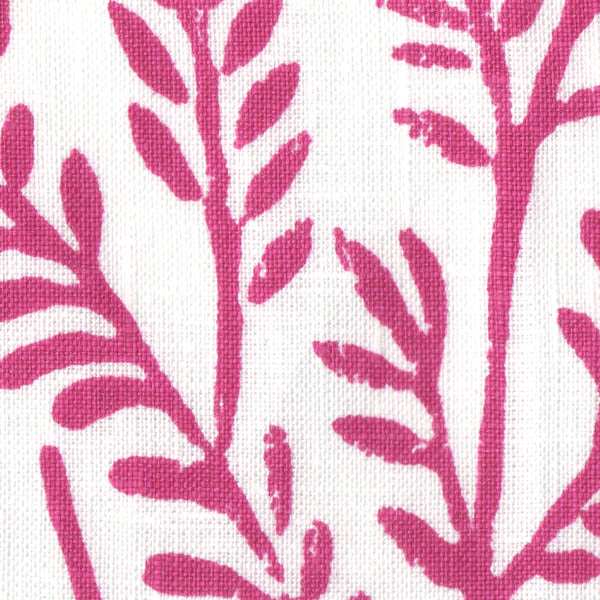 Michael Devine Victoria Cyclamen on White